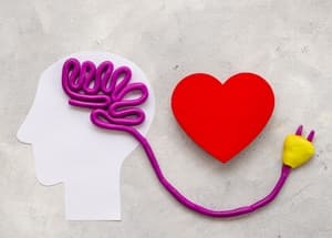 Emocionalna inteligencija