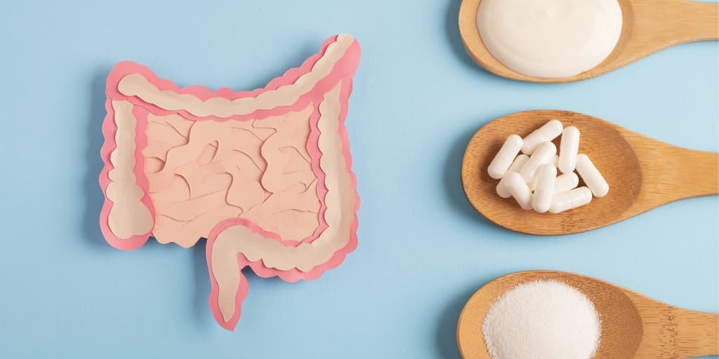 Prehrana za dugovječnost (mikrobiom) - longevity jelovnik