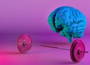 neuroplastičnost