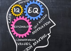 emocionalna inteligencija