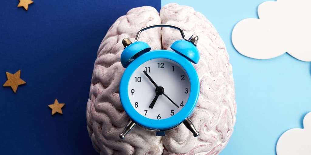 neuroplastičnost
