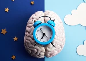 neuroplastičnost