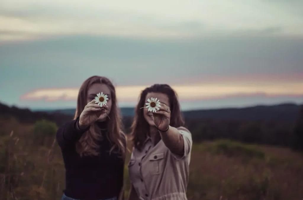 FEMM2 naslovna