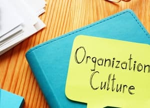 Gestalt u organizacijama
