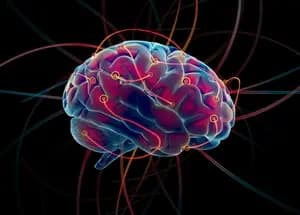 neuroplastičnost